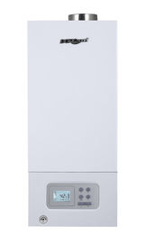 Wall Mounted Home Gas Boiler High Reliability Multiple Automatic Protections