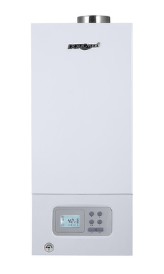 Small Size 16KW - 18KW NG LPG Wall Mounted Gas Boiler