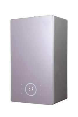 Professional Manufacturer Wholesale Custom Digital Temperature Control Gas Water Heater